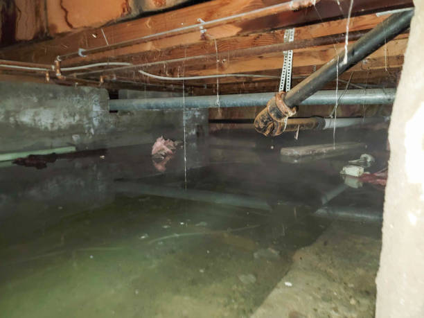 Best Water damage restoration near me  in Westmont, CA