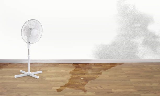 Best Water damage contractors near me  in Westmont, CA