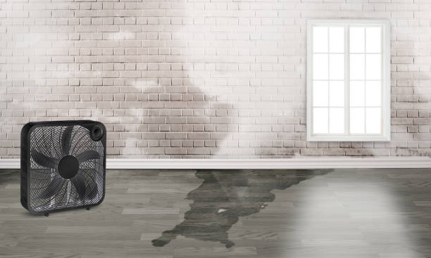 Best 24/7 water damage repair  in Westmont, CA