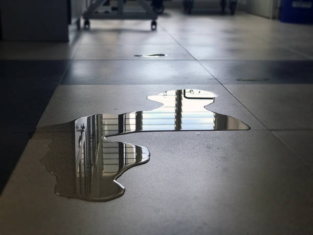 Sewage cleanup and water damage restoration in Westmont, CA